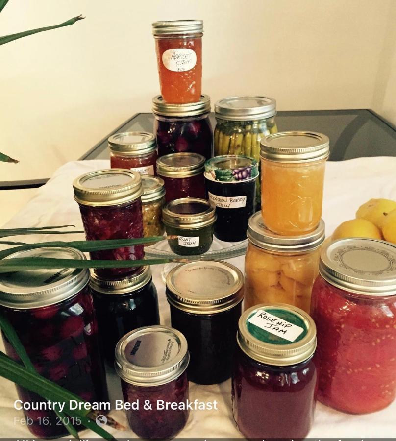 Fintry Country Dream Bed & Breakfast エクステリア 写真