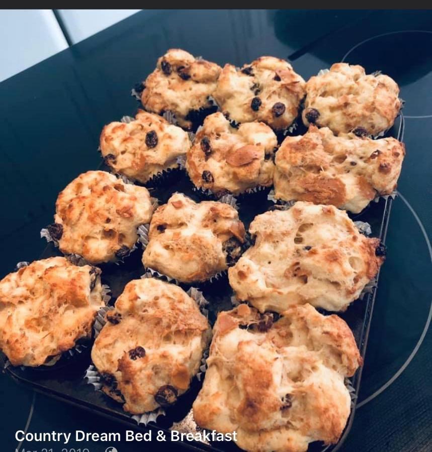 Fintry Country Dream Bed & Breakfast エクステリア 写真